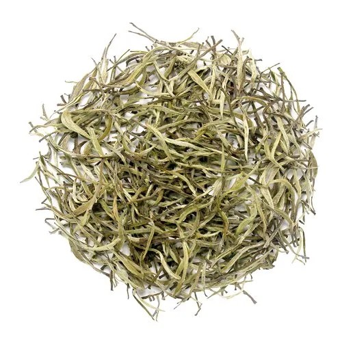 Organic White Tea